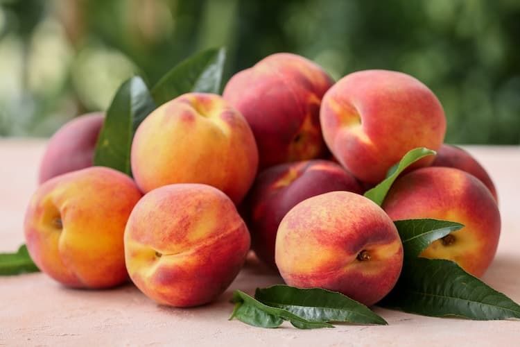 greek nectarines, nectarine export Greece, greek fruit exports
